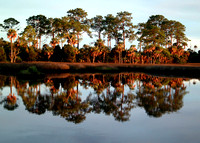 "Reflections On The Bay" Crystal River, Fl.